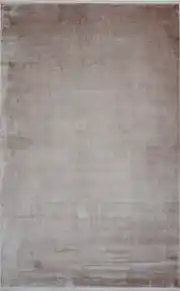 Ipek Kİ084 Bej 200x290 Dikdörtgen Tam Halı 1
